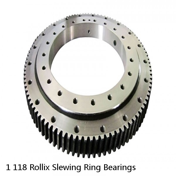 1 118 Rollix Slewing Ring Bearings