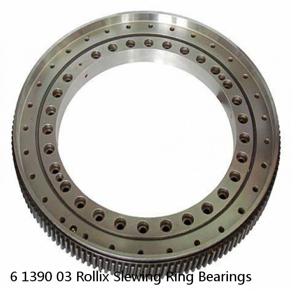 6 1390 03 Rollix Slewing Ring Bearings