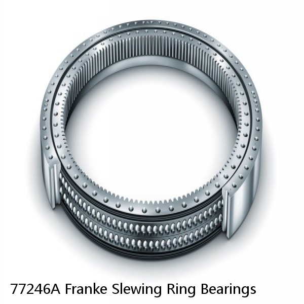 77246A Franke Slewing Ring Bearings