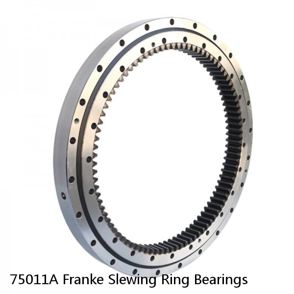 75011A Franke Slewing Ring Bearings