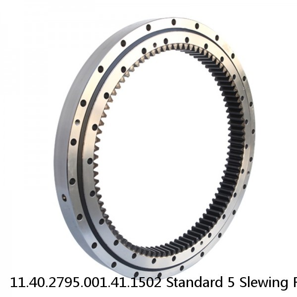 11.40.2795.001.41.1502 Standard 5 Slewing Ring Bearings