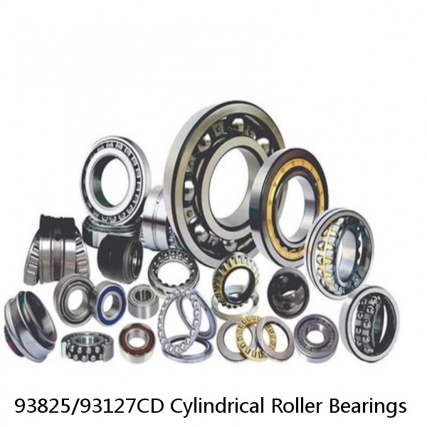 93825/93127CD Cylindrical Roller Bearings