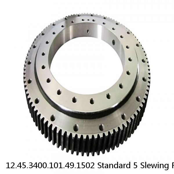 12.45.3400.101.49.1502 Standard 5 Slewing Ring Bearings