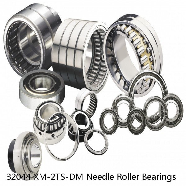 32044 XM-2TS-DM Needle Roller Bearings