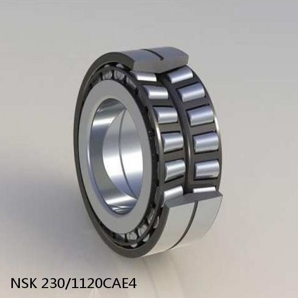 230/1120CAE4 NSK Spherical Roller Bearing