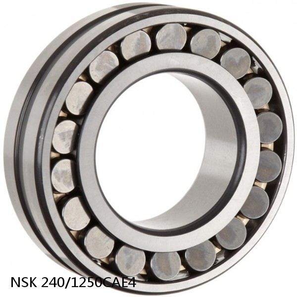 240/1250CAE4 NSK Spherical Roller Bearing