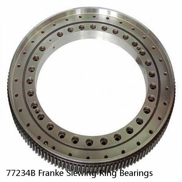 77234B Franke Slewing Ring Bearings