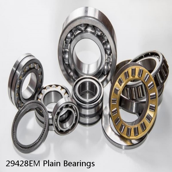 29428EM Plain Bearings