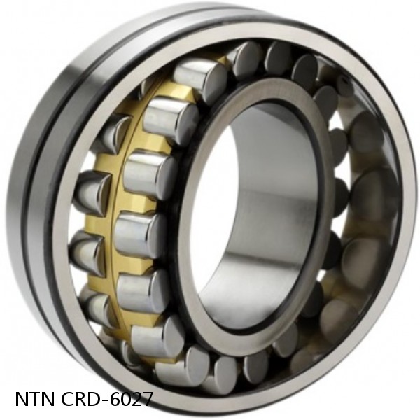 CRD-6027 NTN Cylindrical Roller Bearing