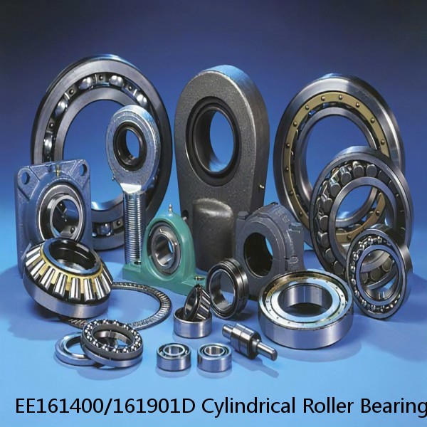 EE161400/161901D Cylindrical Roller Bearings