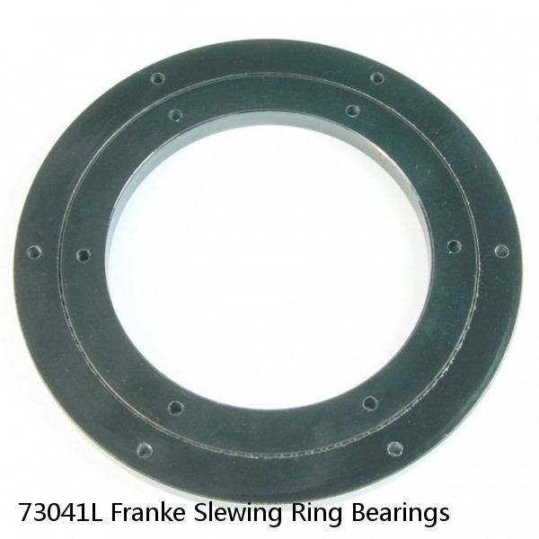 73041L Franke Slewing Ring Bearings