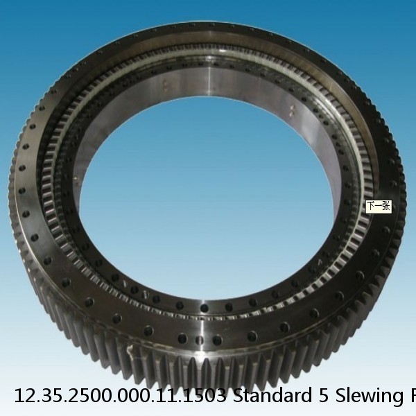 12.35.2500.000.11.1503 Standard 5 Slewing Ring Bearings