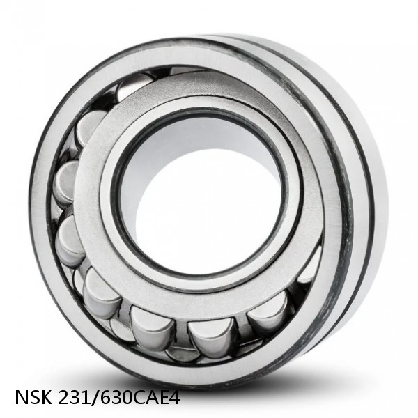 231/630CAE4 NSK Spherical Roller Bearing