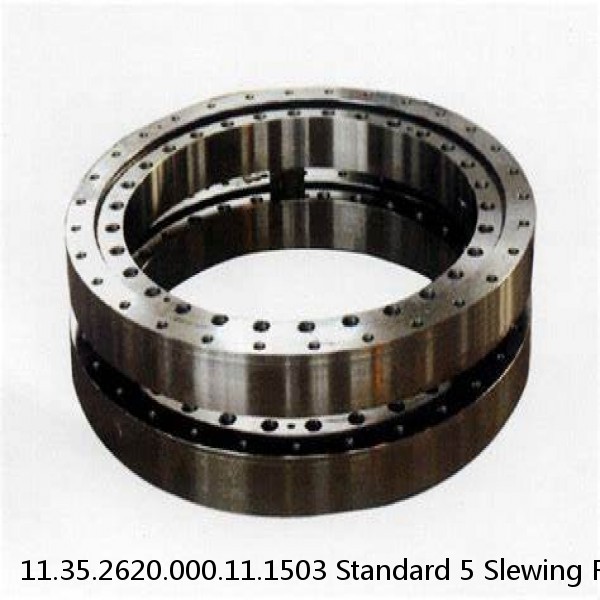 11.35.2620.000.11.1503 Standard 5 Slewing Ring Bearings