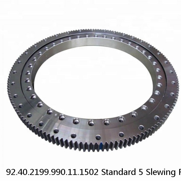 92.40.2199.990.11.1502 Standard 5 Slewing Ring Bearings