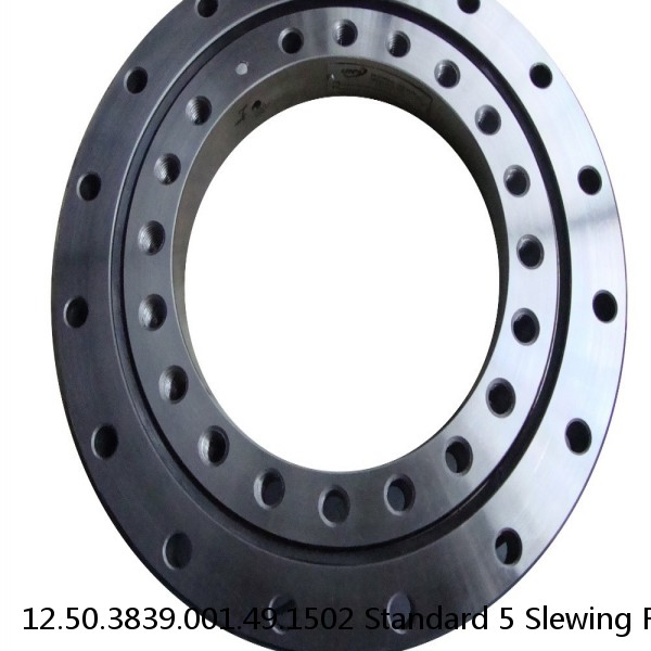 12.50.3839.001.49.1502 Standard 5 Slewing Ring Bearings