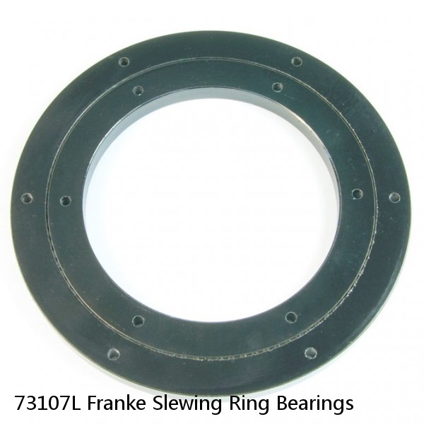 73107L Franke Slewing Ring Bearings