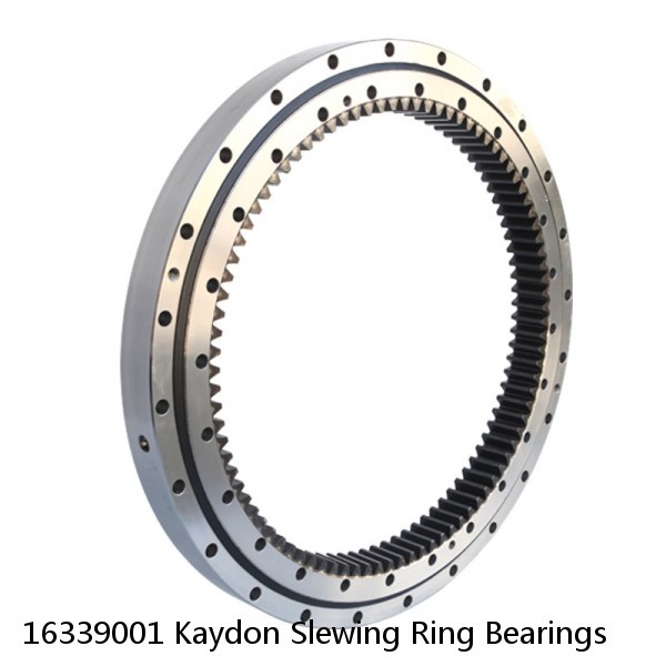 16339001 Kaydon Slewing Ring Bearings