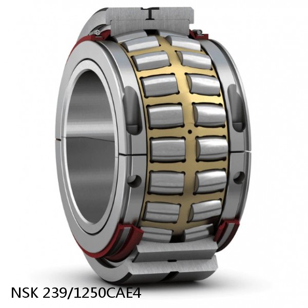 239/1250CAE4 NSK Spherical Roller Bearing